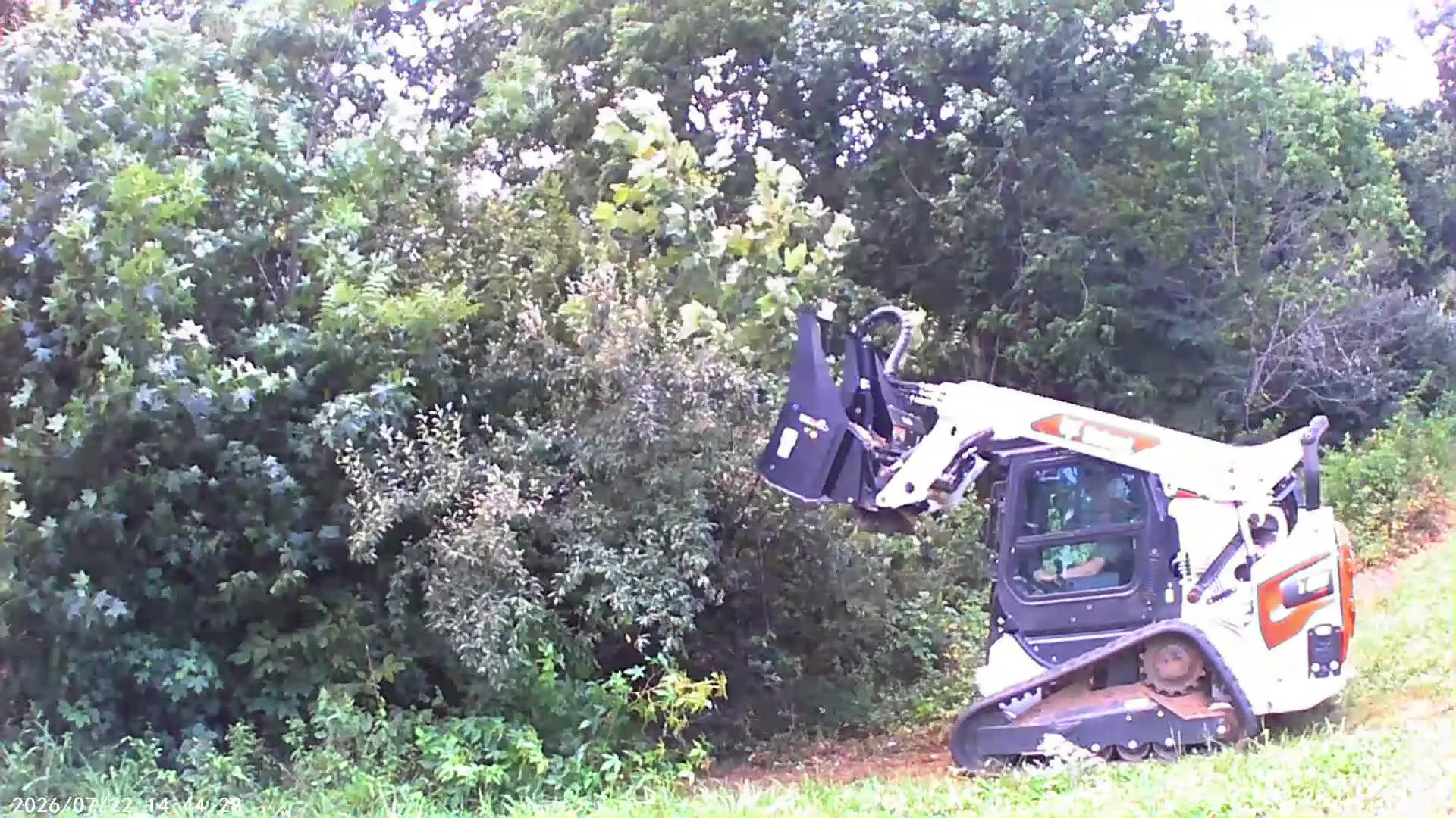 Our Services in Southern Illinois