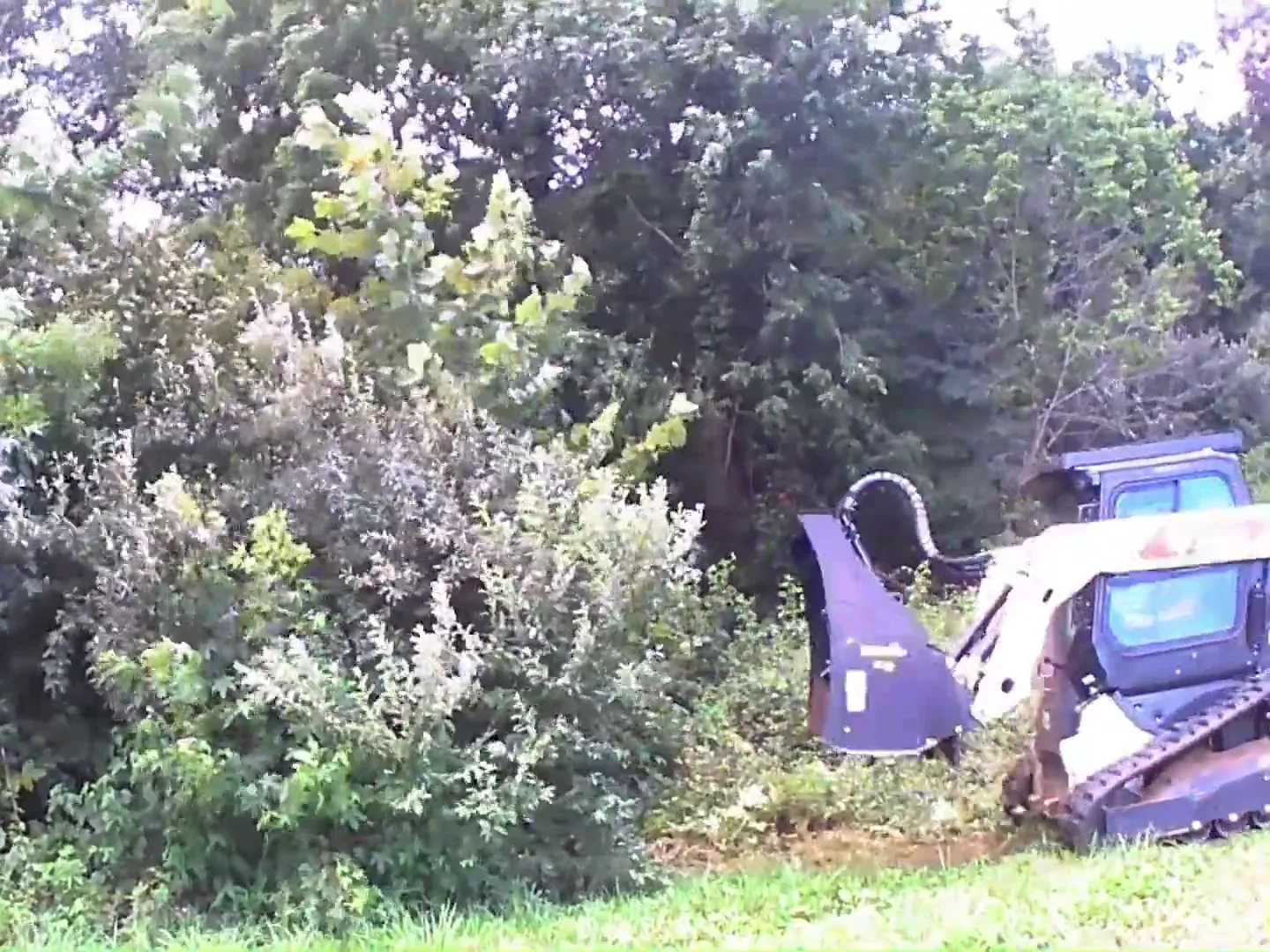 Fence Line Clearing in Cobden, IL