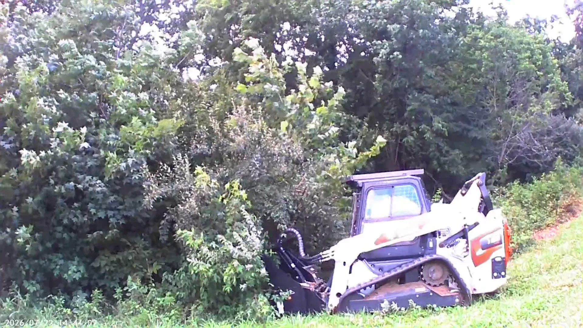 Fence Line Clearing in Cobden, IL