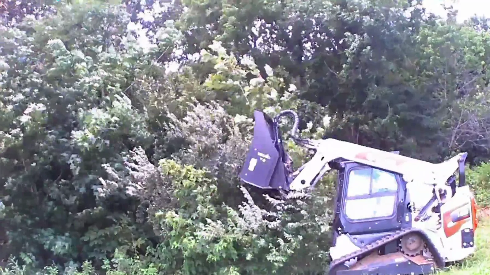 Land clearing and forestry mulching in Carrier Mills, IL