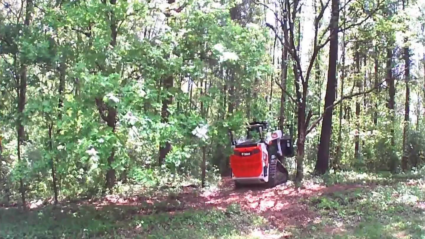Land Clearing in De Soto, IL