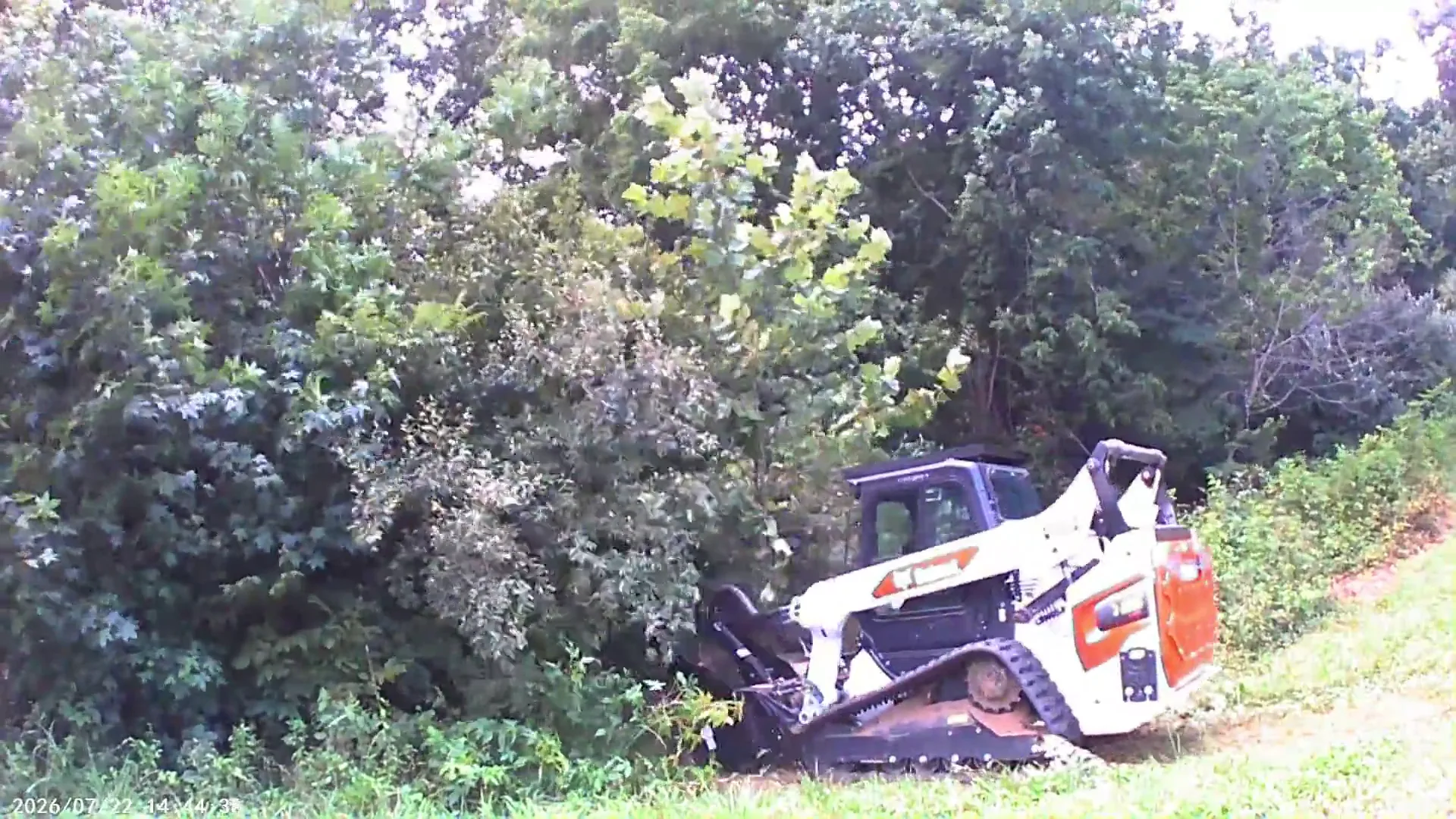 Land clearing and forestry mulching in Johnston City, IL