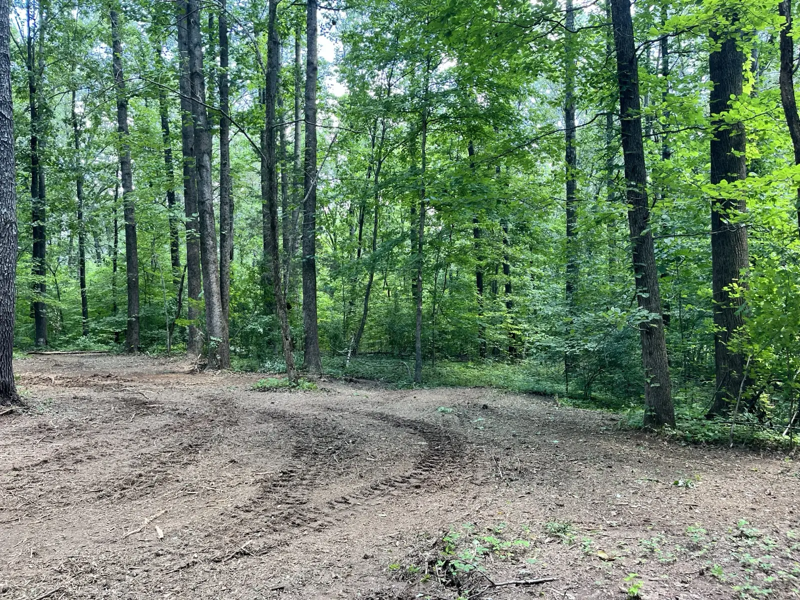 Brush Clearing in Cobden, IL